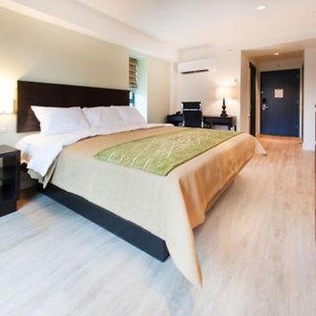 Comfort Inn & Suites - Kew Gardens Near La Guardia Airport 뉴욕 외부 사진