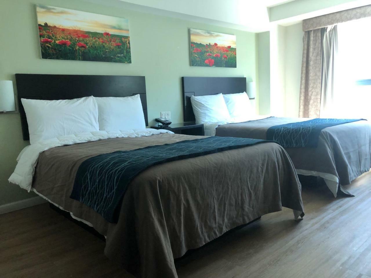 Comfort Inn & Suites - Kew Gardens Near La Guardia Airport 뉴욕 외부 사진